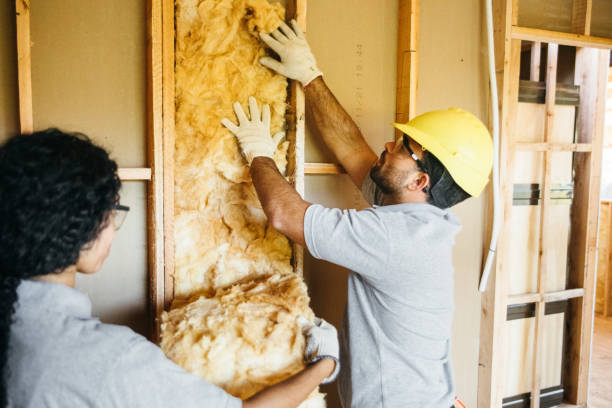 Best Home Insulation Services  in Eleele, HI