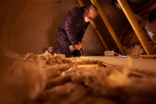 Best Affordable Insulation Services  in Eleele, HI